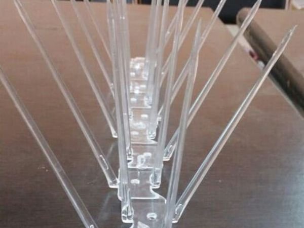 xr:d:DAF7bQGlWVE:4,j:8591033474717472821,t:24013106